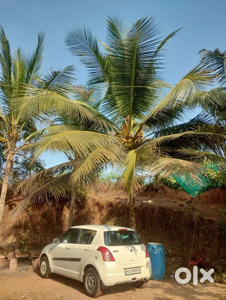 Maruti Suzuki Swift 2009