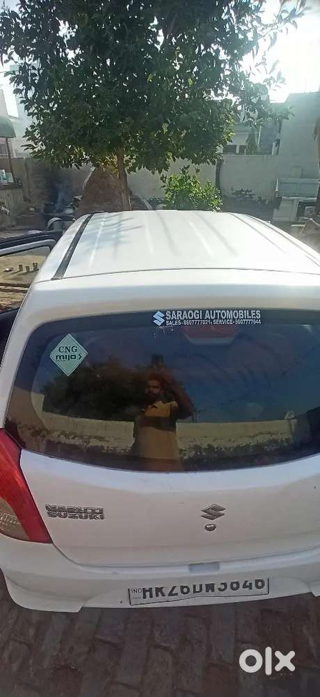 Maruti Suzuki Alto 800, 2019 Cng & Hybrids
