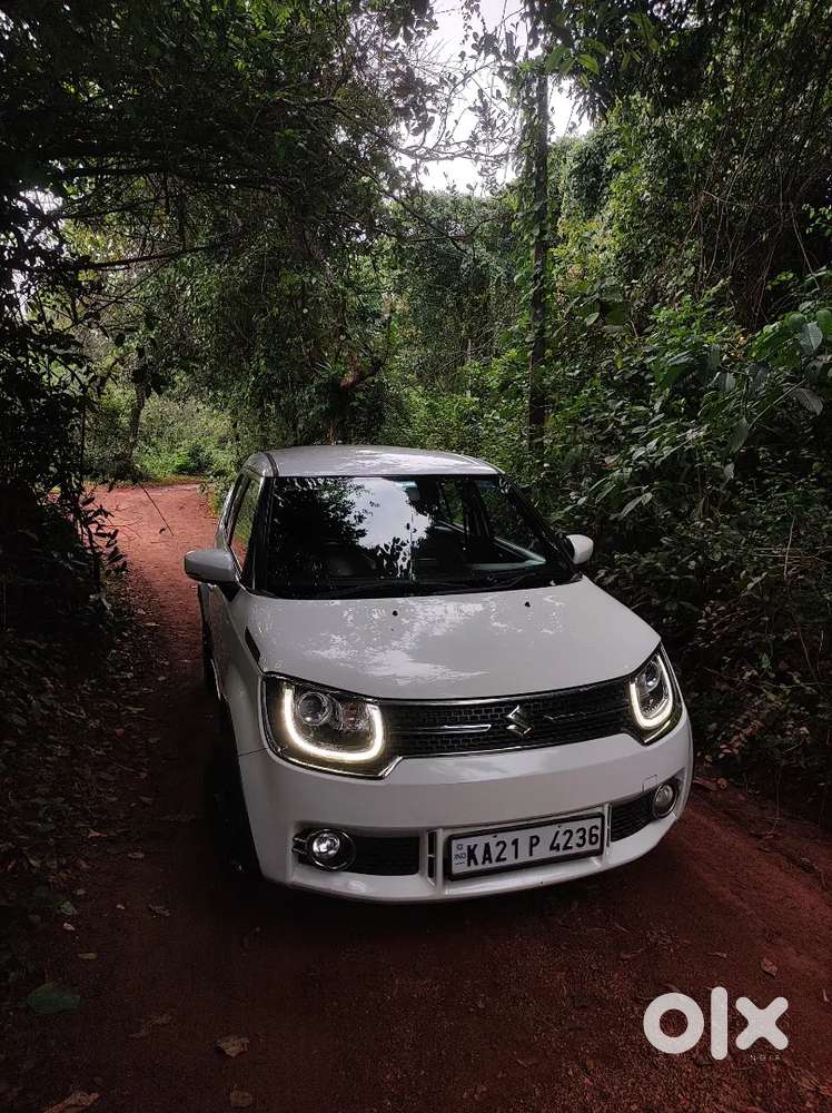 Maruti Suzuki Ignis Alpha Variant In Immaculate  Condition.