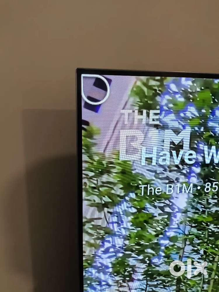 LG OLED C2 / c2x - 65. Delamination on right side. 3 years old
