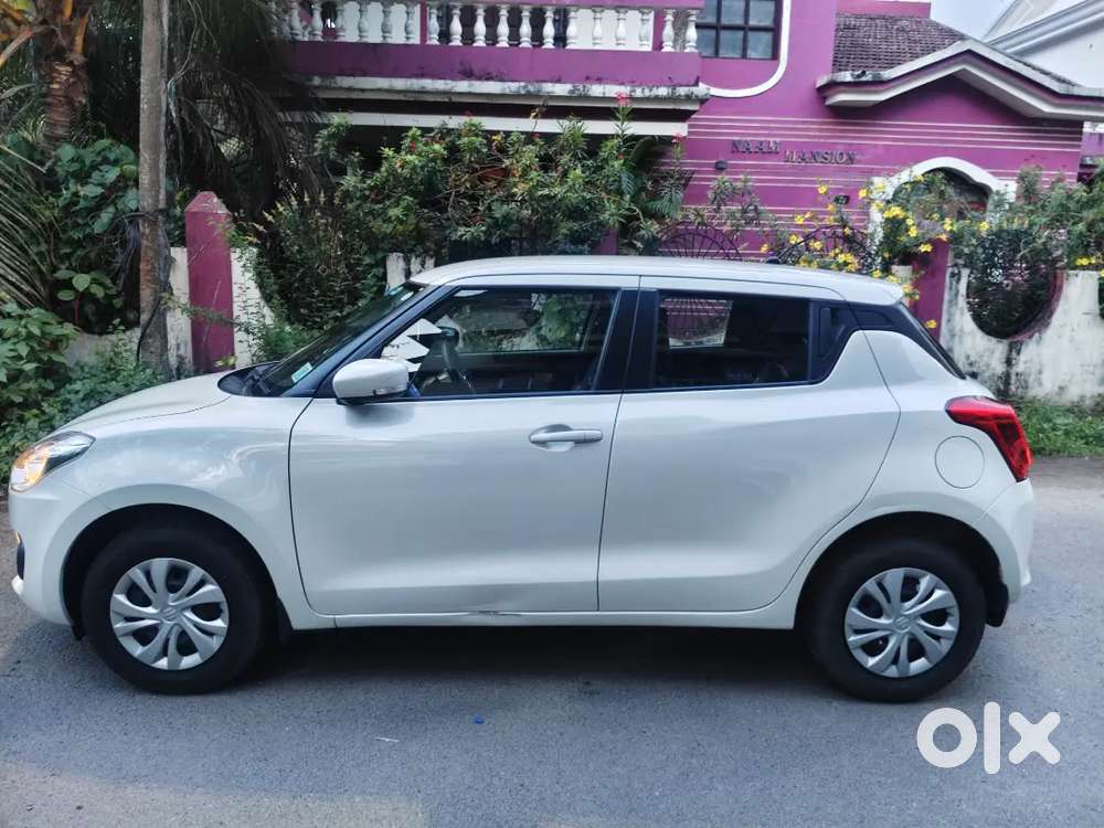 Swift 2024 (2 Year Old)