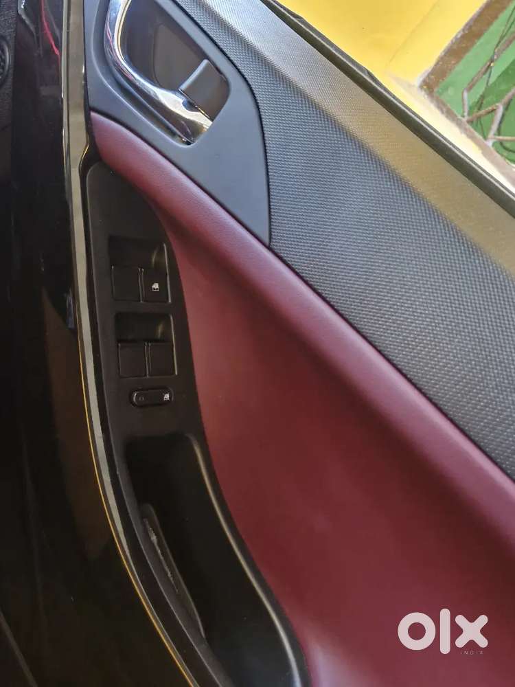 Top Model Currv (1 Year Old)