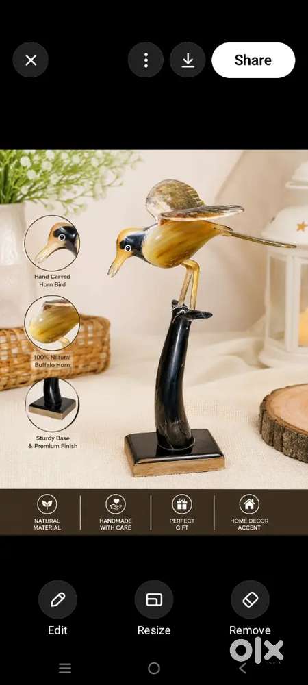 Dark horn product