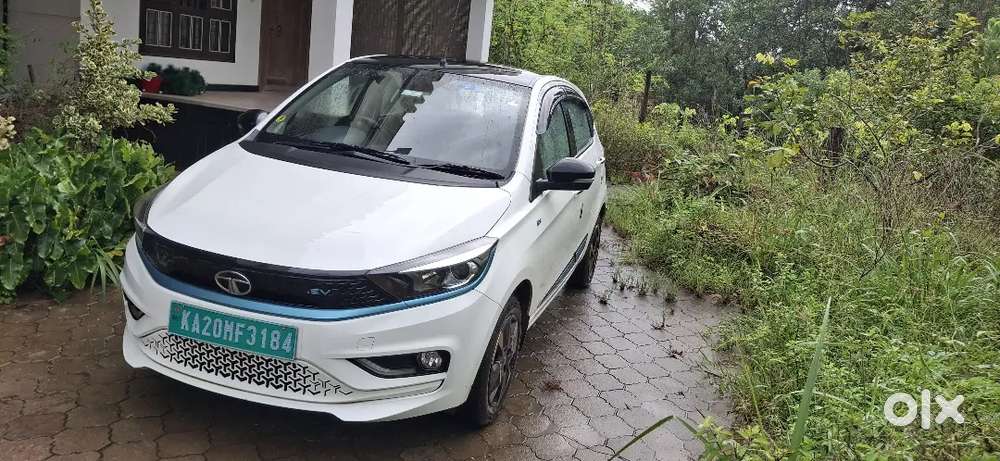 2 Years 4 Months Old