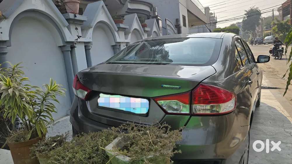 Maruti Suzuki Ciaz 2019 Petrol Well Maintained