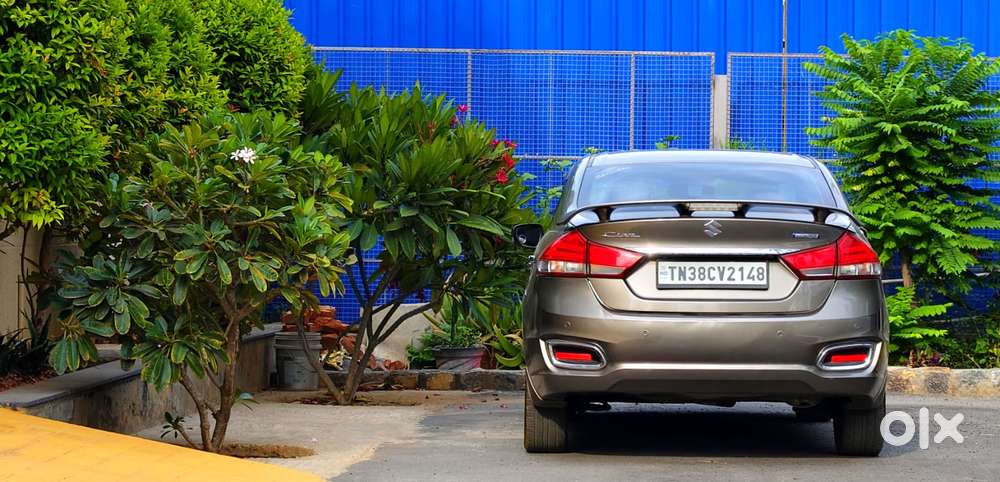 Maruti Suzuki Ciaz, 2020, Petrol