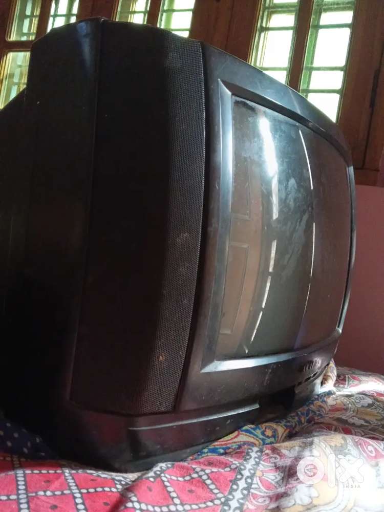 Tv.     hhdjddhhd