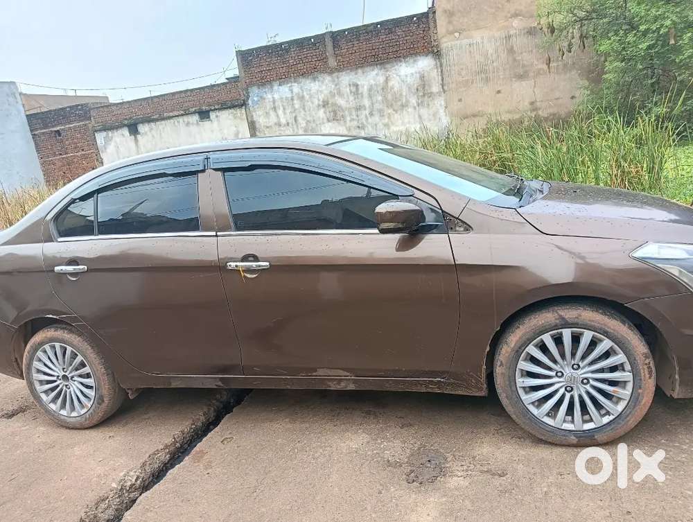 Maruti Suzuki Ciaz Zxi(o) 2015 पेट्रोल