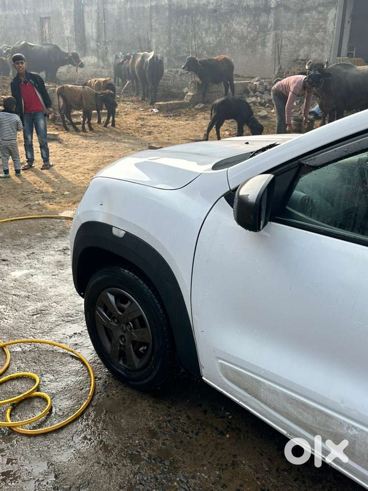 Renault Kwid 2017 Petrol Well Maintained