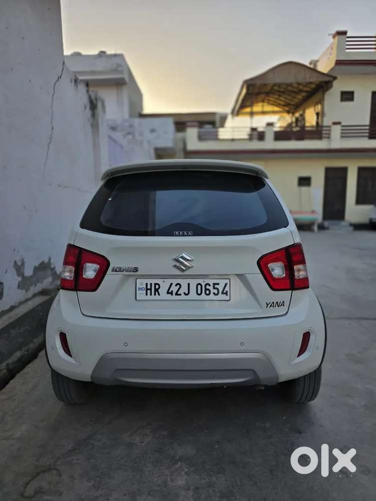 December 2024cng On Paper Delta Variant Convert To Alpha