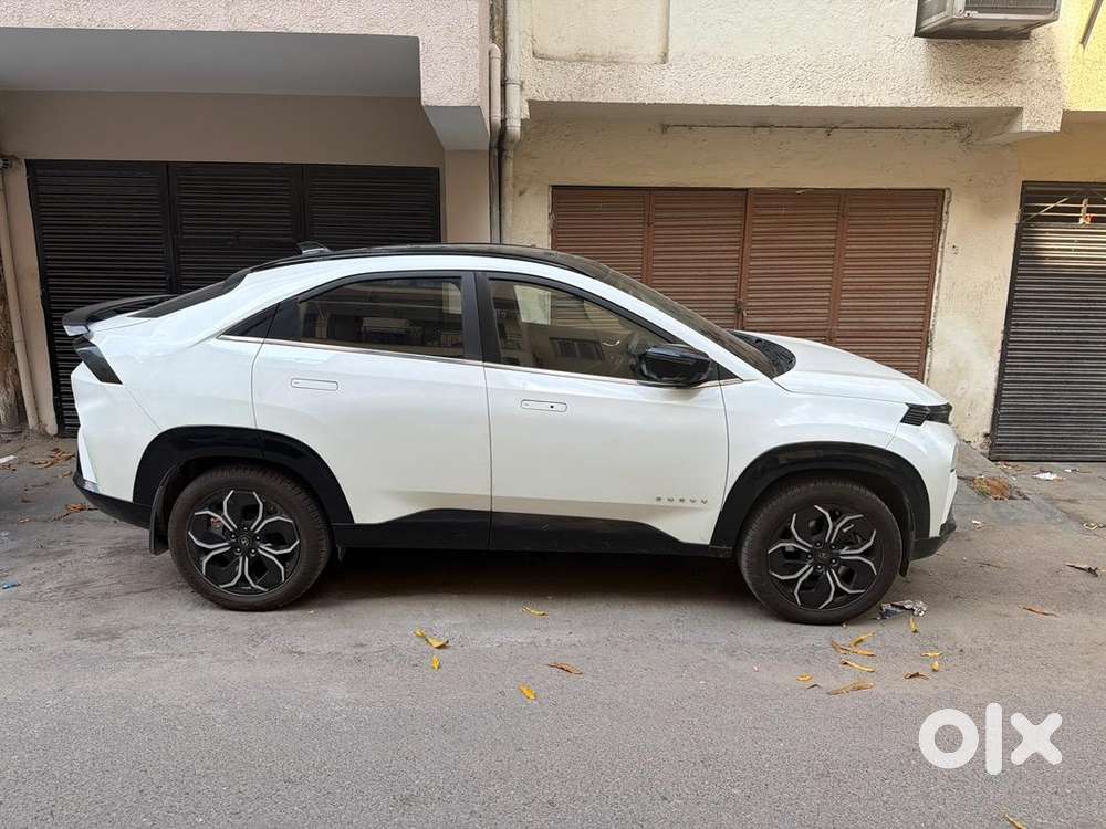 Tata Curvv 2024 Petrol Well Maintained