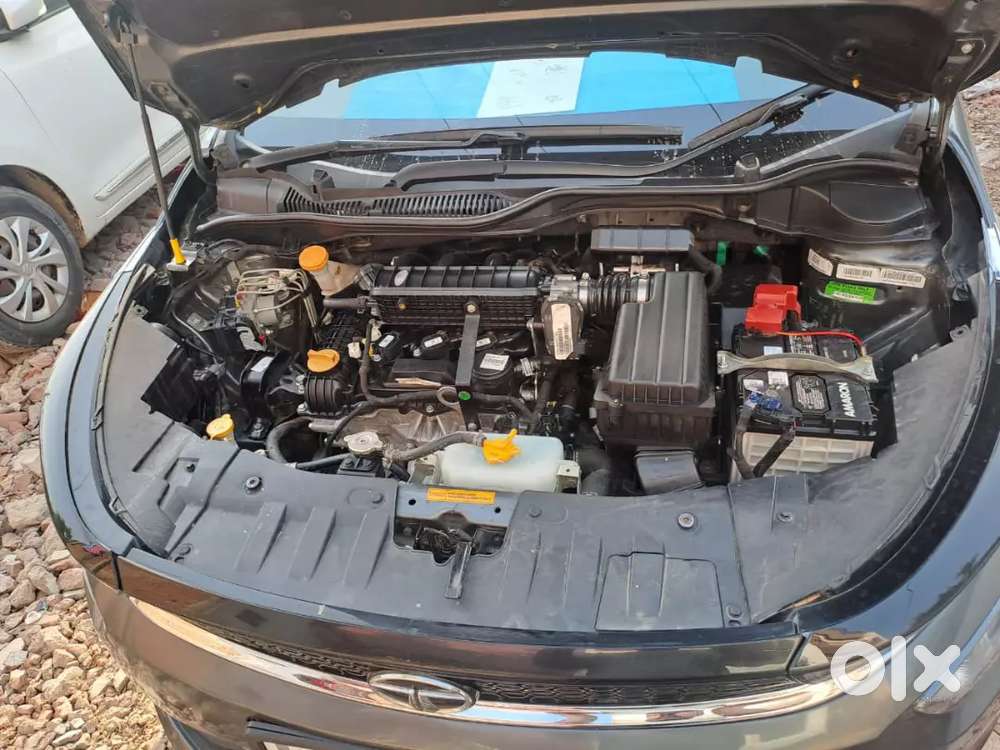 Tata Altroz 2024 Petrol 17000 Km Driven