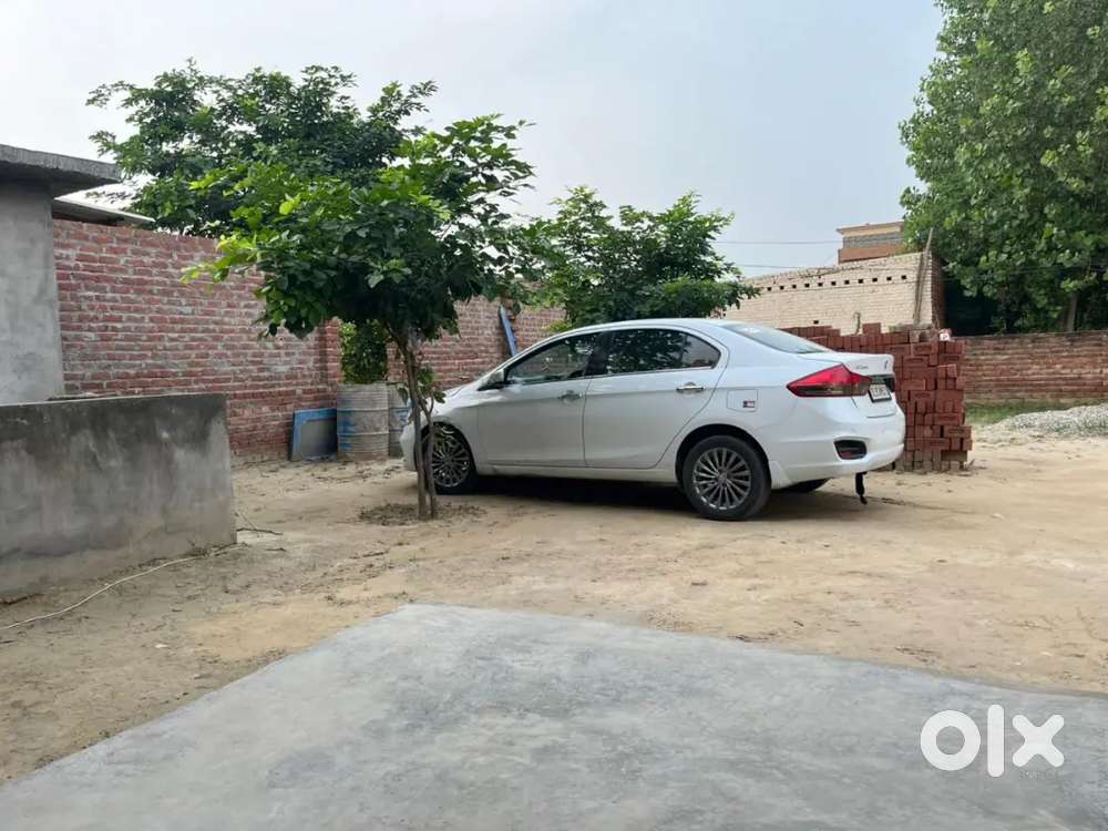 Ciaz Alfa Hybrid