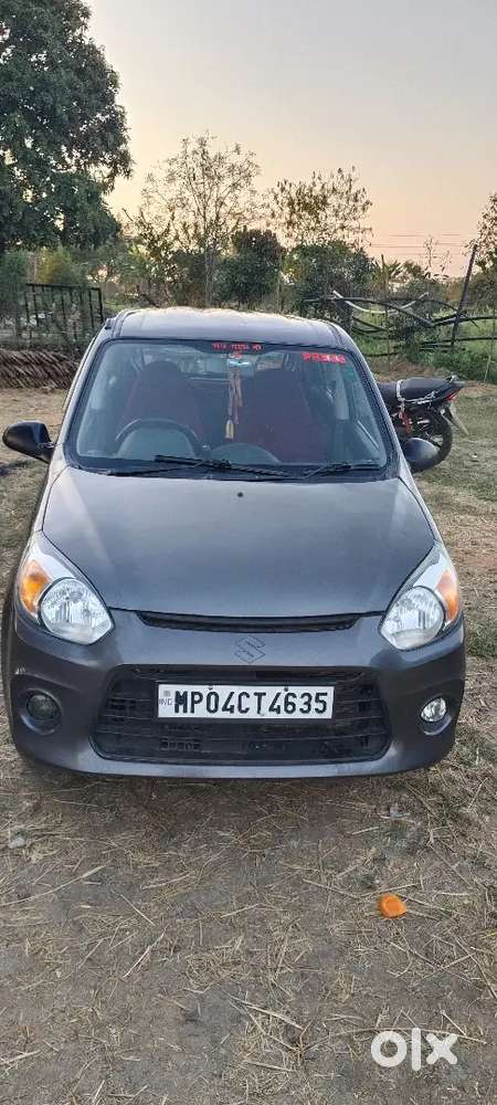 Alto 800 Vxi Automatic