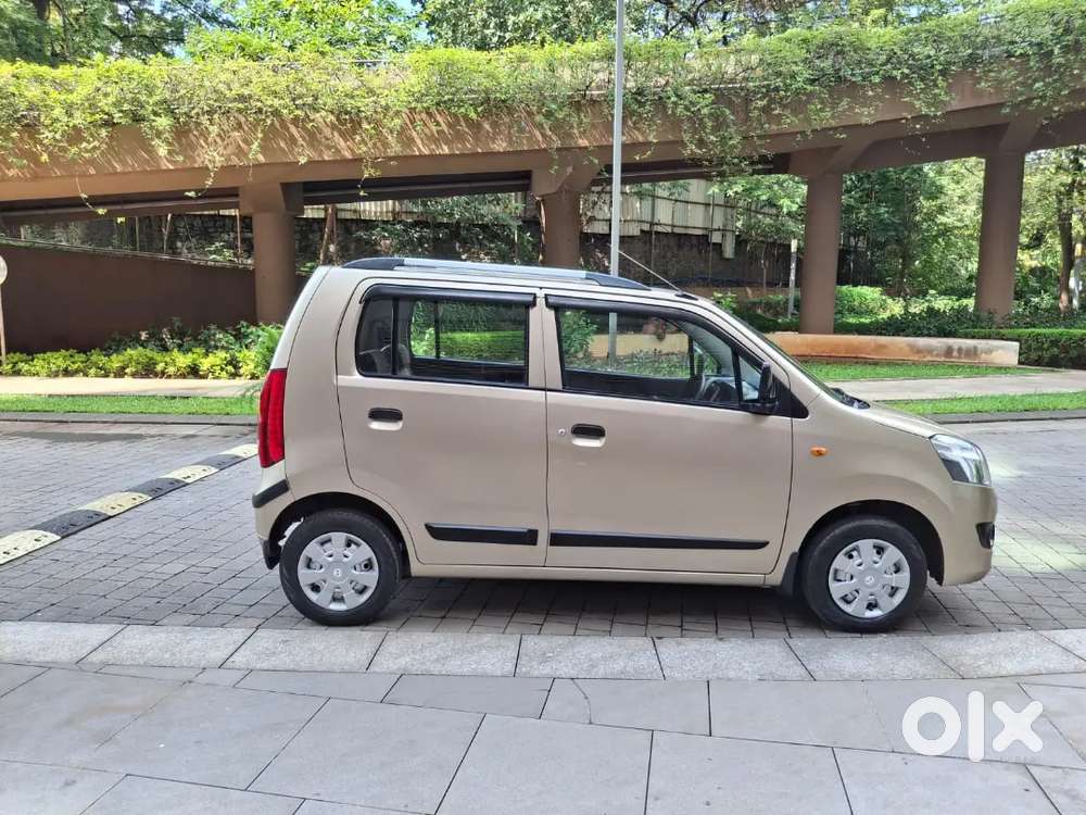 Well Maintain Wagoner