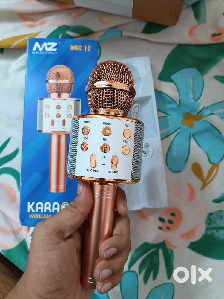 Karaoke singing mic with multiple voice changer