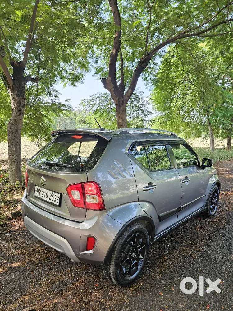 Maruti Suzuki Ignis 2023 Petrol