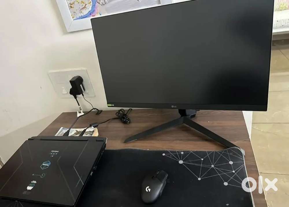 LG Gaming Monitor