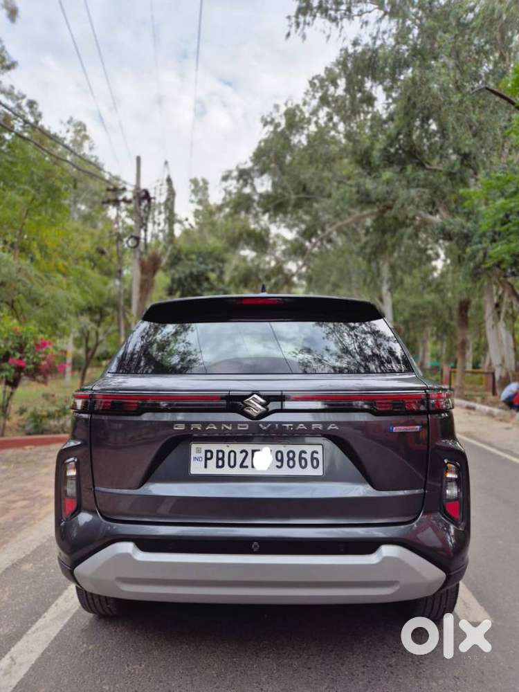 Maruti Suzuki Grand Vitara, 2025, Petrol