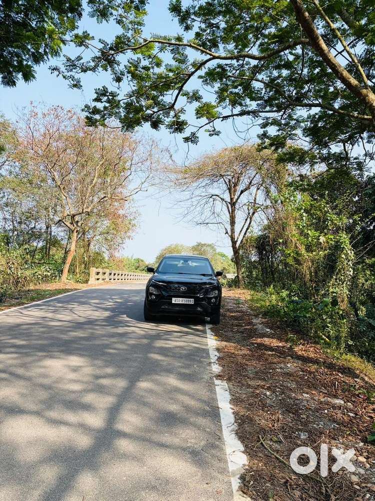 Tata Harrier 2023 Diesel 29564 Km Driven