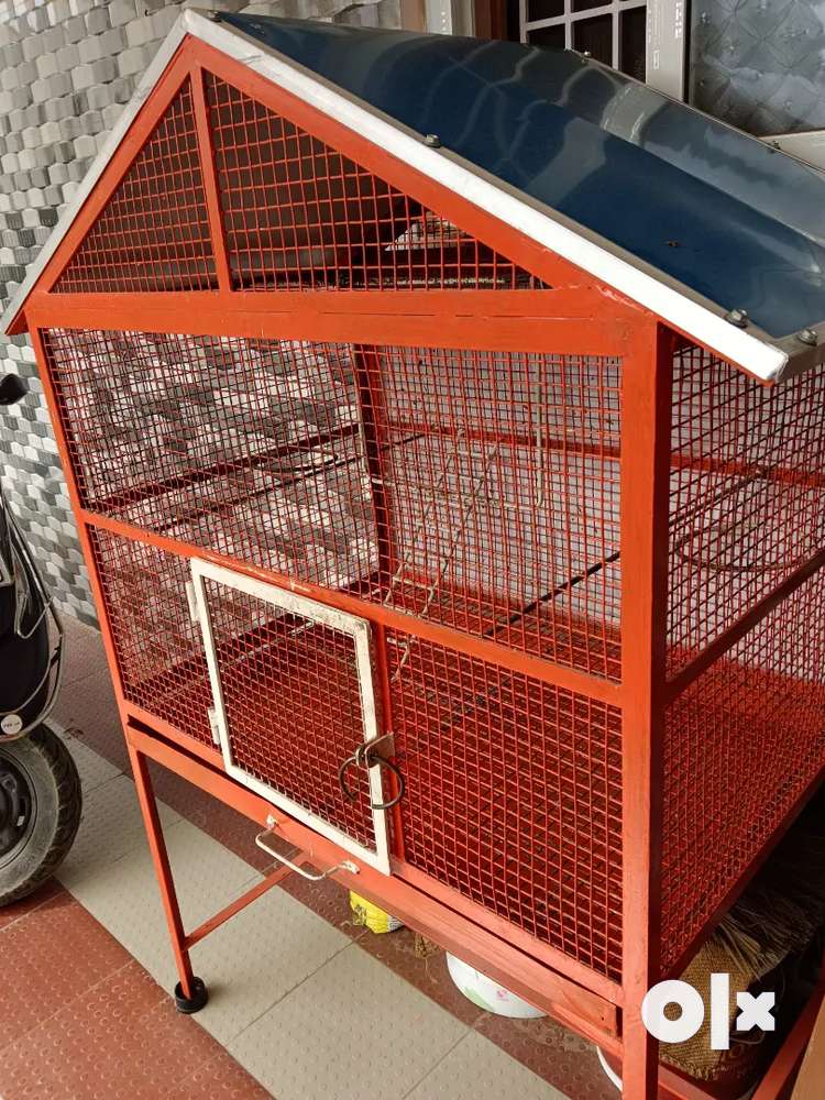 Bird Cage Pets for sale in Tiruppur OLX