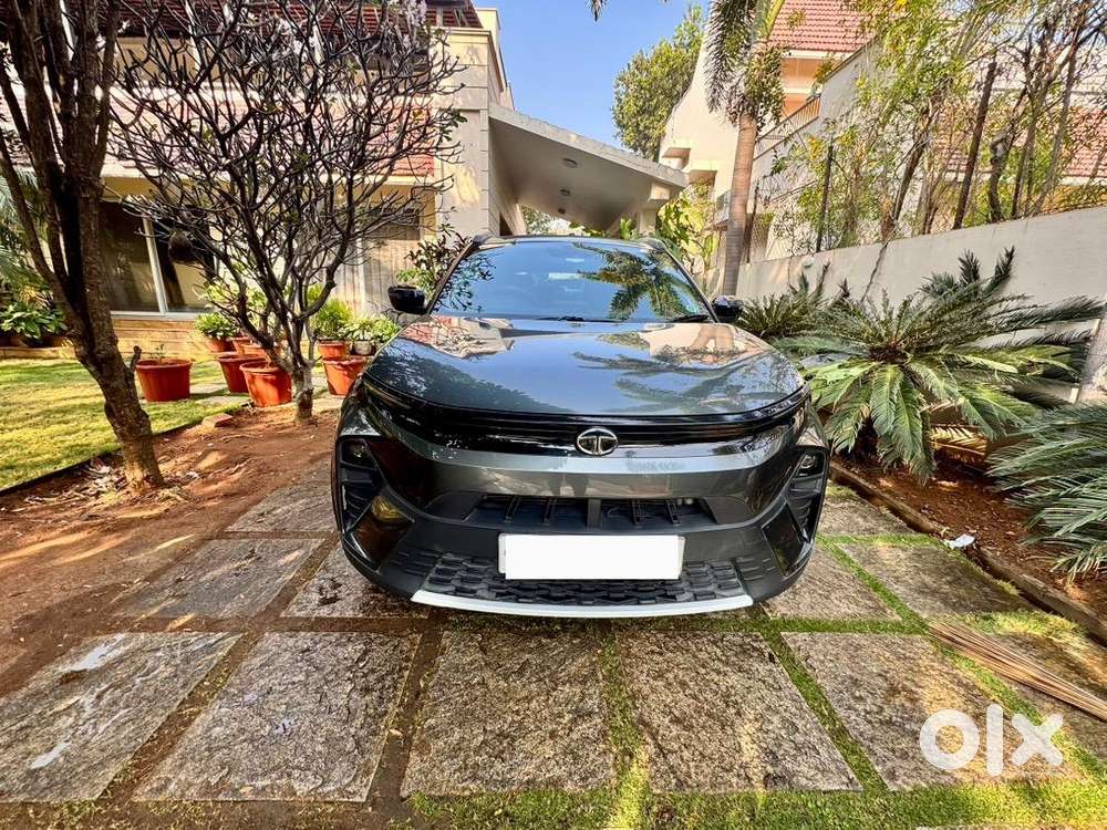 Tata Nexon Creative 2024 Petrol 24000 Km Driven