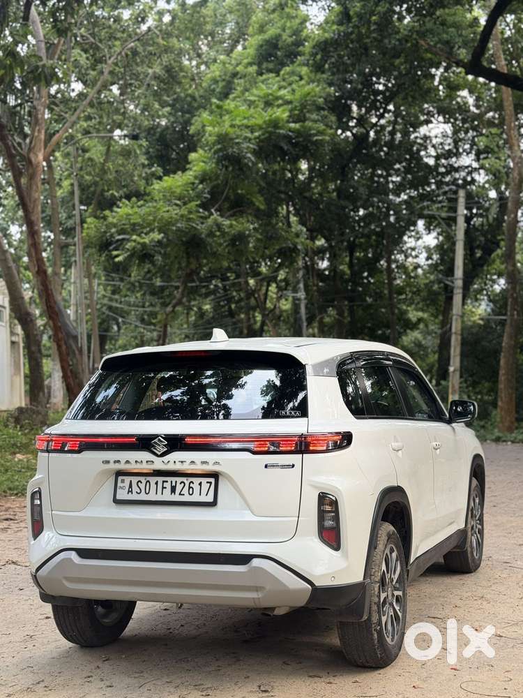 Maruti Suzuki Grand Vitara 1.5 Delta Smart Hybrid, 2024, Petrol