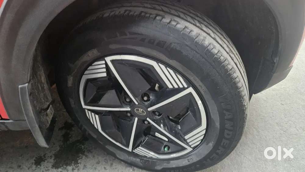 Nexon Ev Empowered Plus Lr 2024
