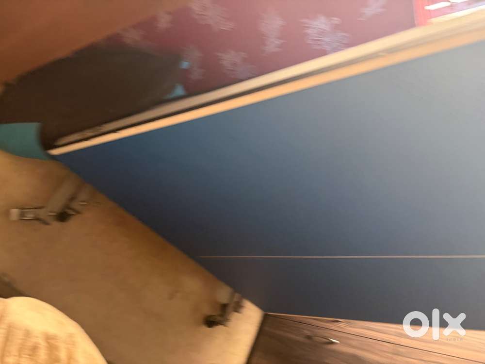 Sports. Table tennis