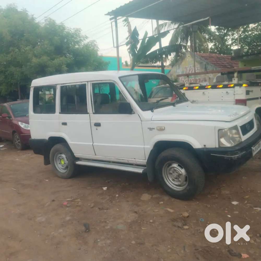 Sumo For Sale