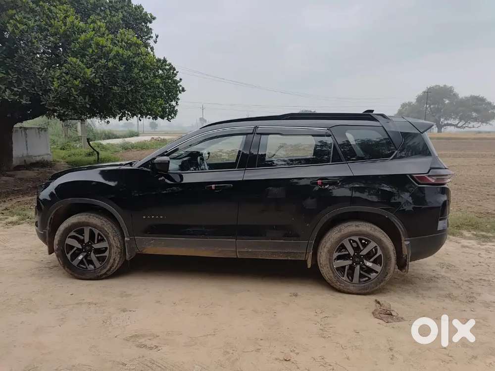 Tata Safari 2025 Diesel 48000 Km Driven