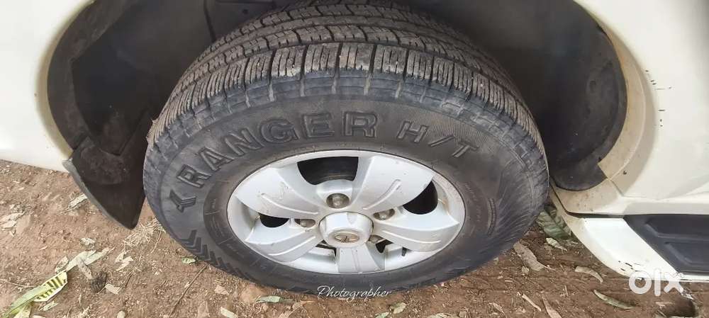 Mint Condition