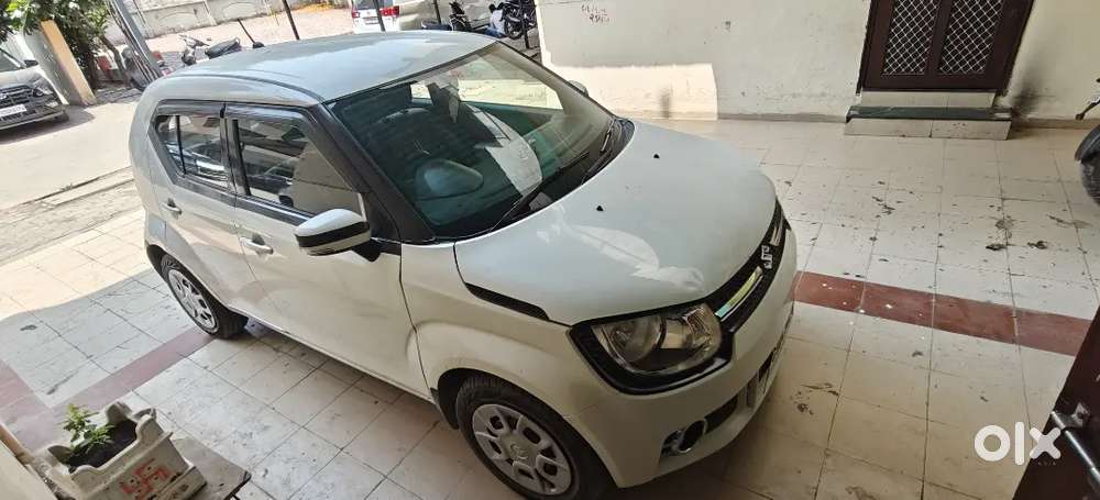 Maruti Suzuki Ignis Delta 2019 Petrol – Well Maintained