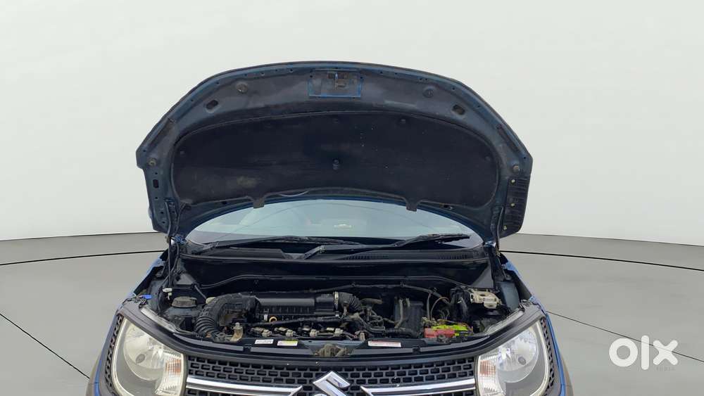 Maruti Suzuki Ignis 1.2 Delta, 2018, Petrol