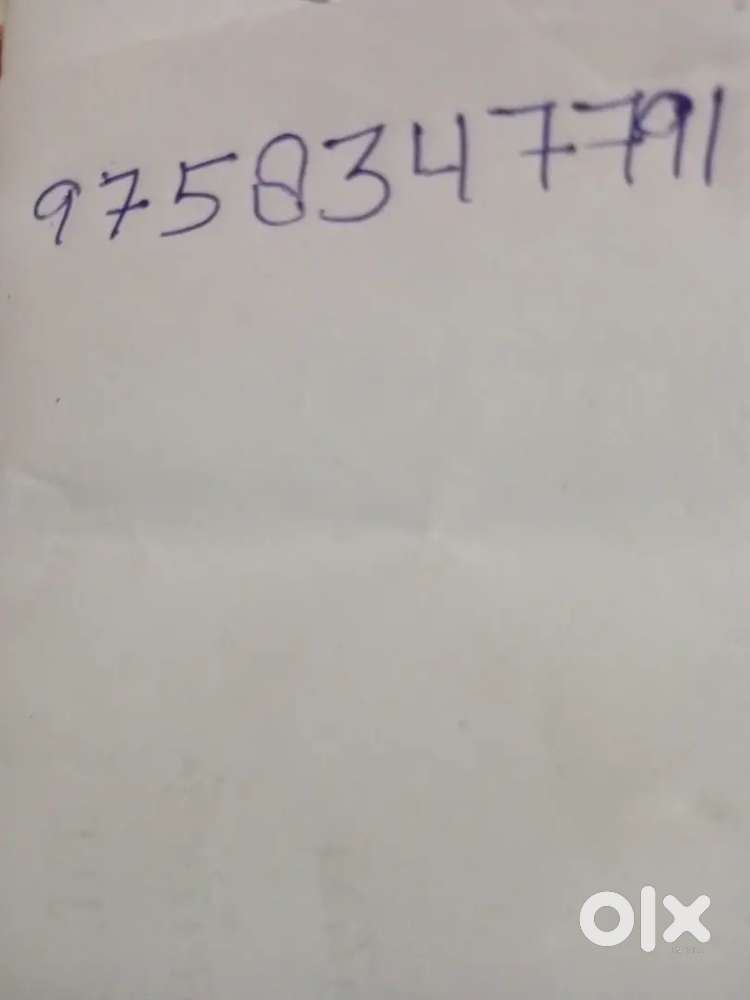 Maruti Suzuki Wagon R Flex Fuel