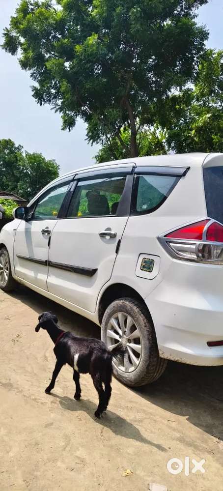 Well Maintained Ertiga Car Call-