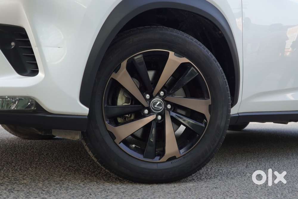 Lexus Nx Lexus-nx-300h-luxury, 2021, Petrol