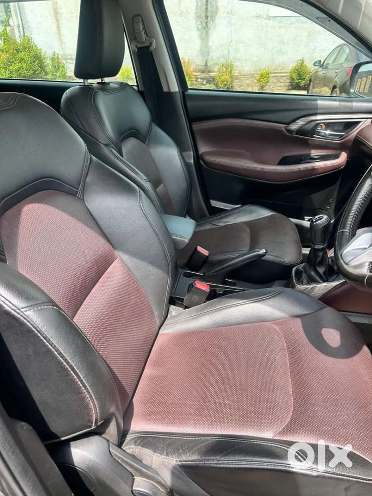 Maruti Suzuki Grand Vitara 1.5 Alpha Smart Hybrid Allgrip, 2022, Pet..