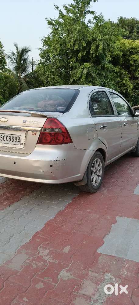 Shiva Kushwaha