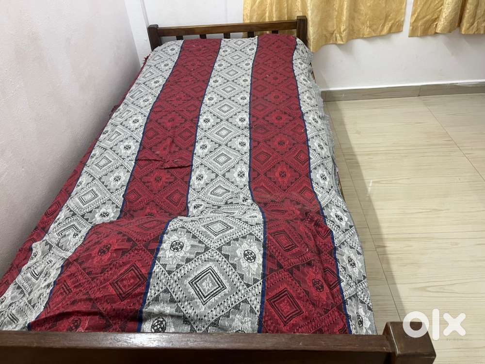 1BHK in Kakkanad