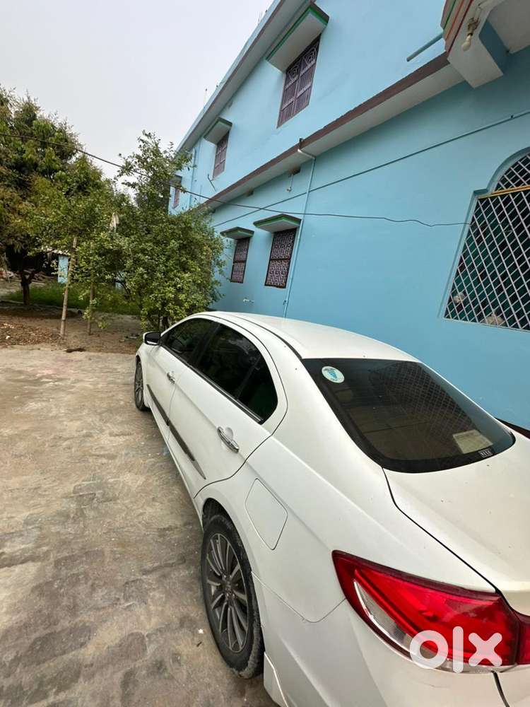Ciaz 2021 Alpha Alpha