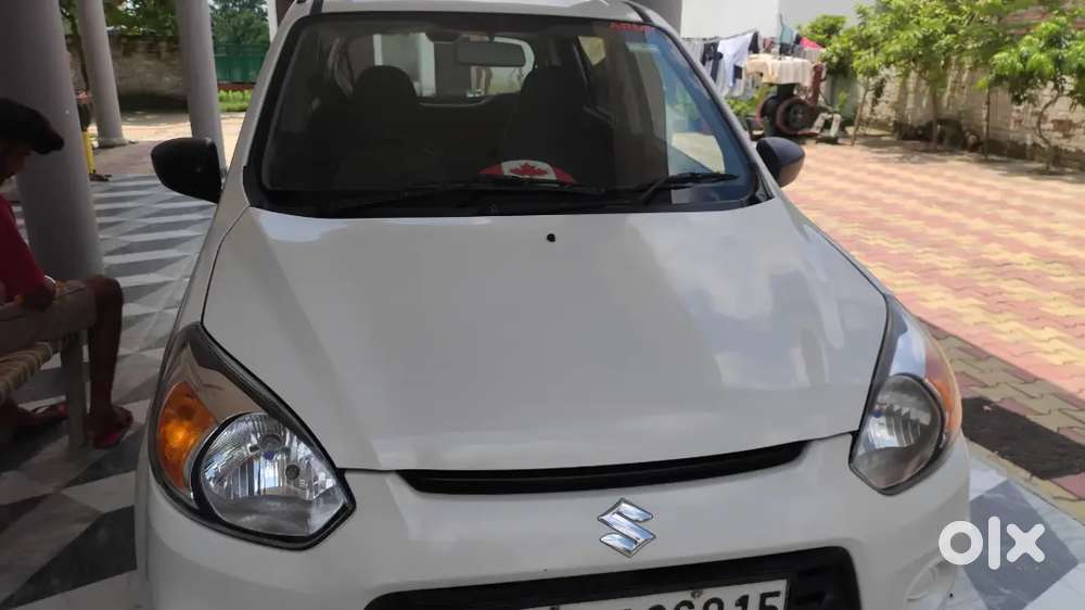 Alto 800 2019