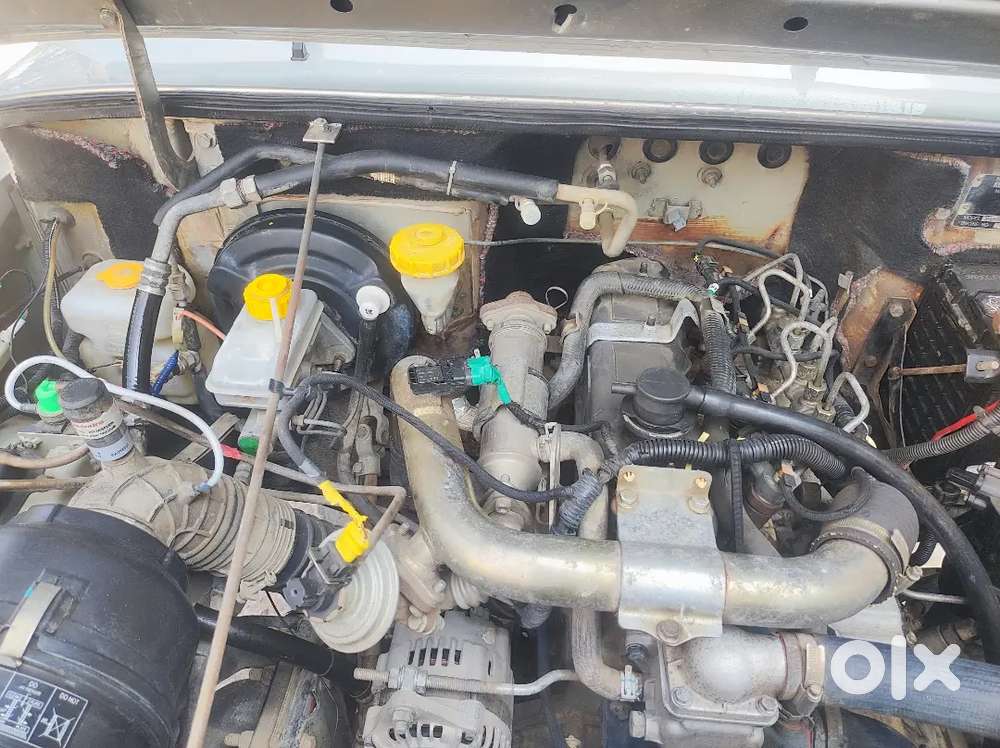 Bolero Camper Gold 2018