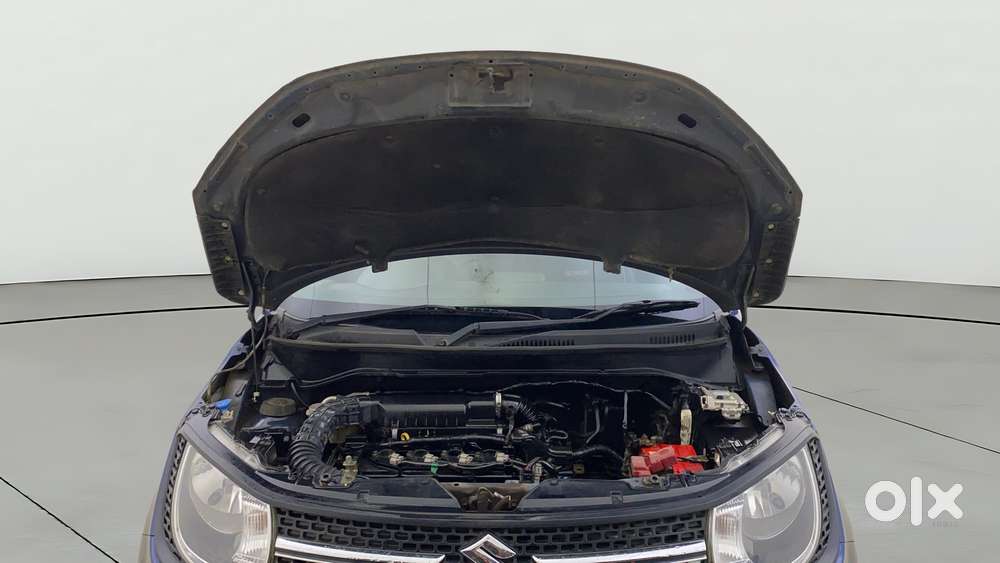 Maruti Suzuki Ignis 1.2 Delta, 2019, Petrol