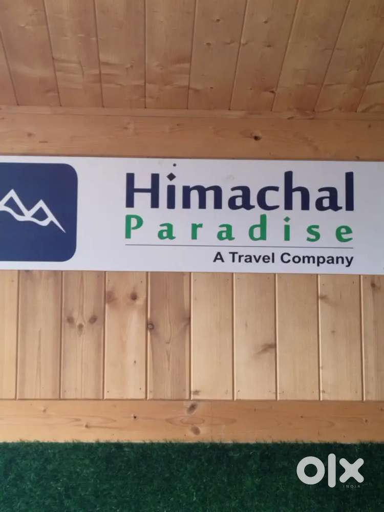 Travel company sales executive