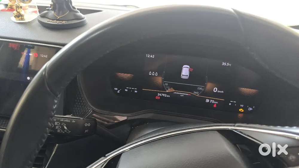 Skoda Kushaq 2024 Petrol 25000 Km Driven