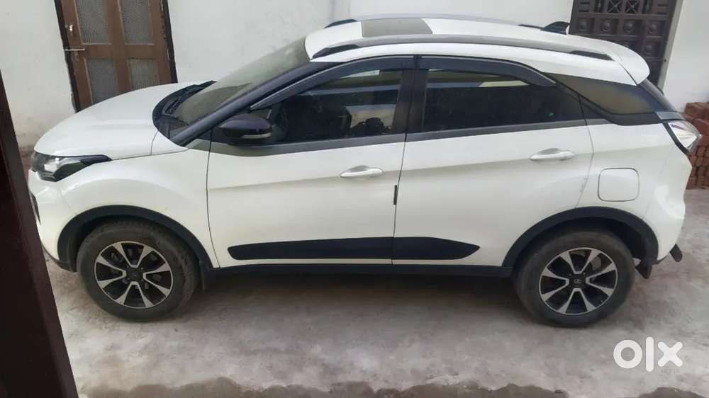 Brand New Car