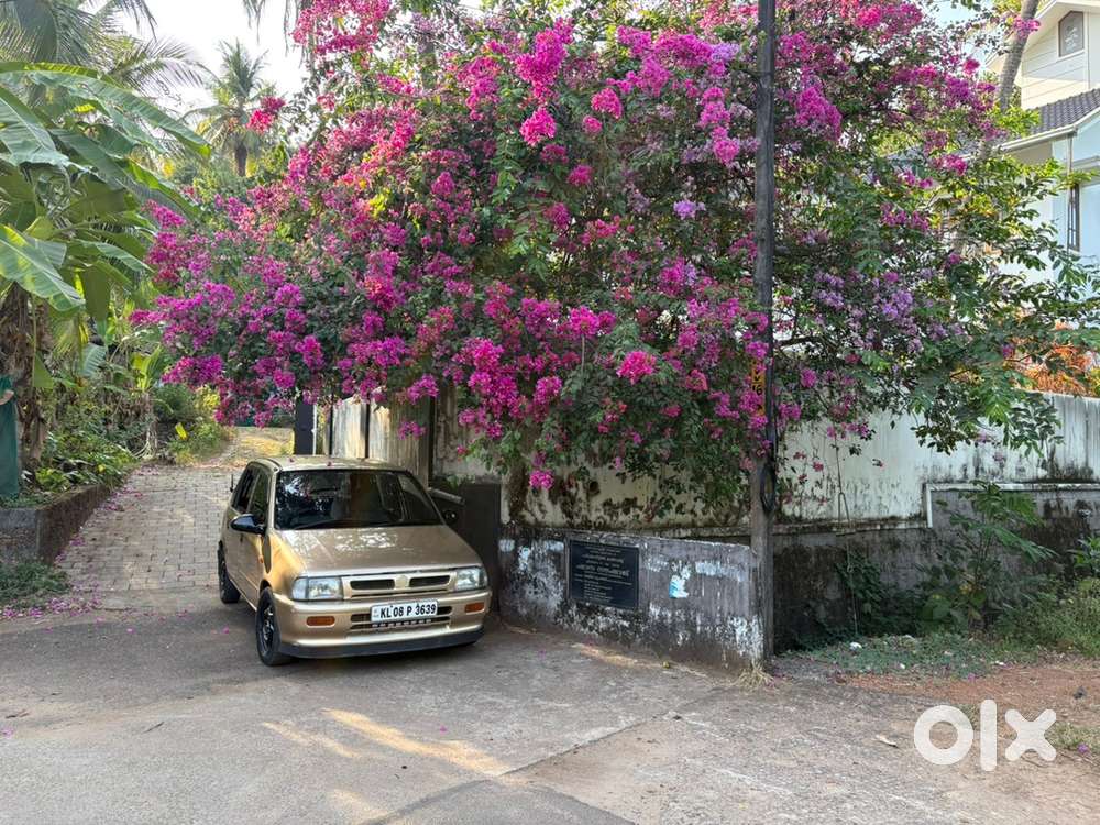Maruti Zen Estilo 2000