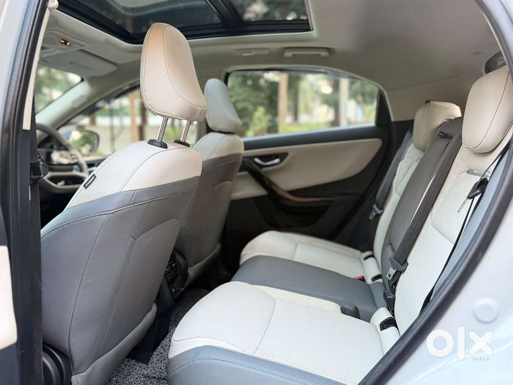 Tata Curvv Ev Empowered Plus A 55, 2025, Electric