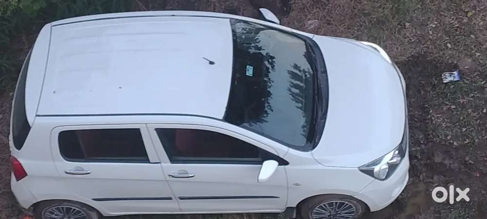 Maruti Suzuki Celerio 2015 Year Last Cng Green  New Tayer